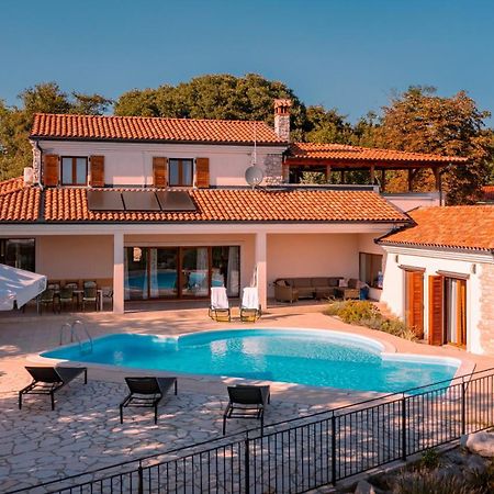 Villa Arton Heated Swimming-Pool Zminj Exterior photo